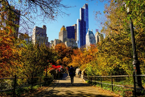 Central Park Culmine Della Stagione Autunnale New York Con Foglie — Foto Stock