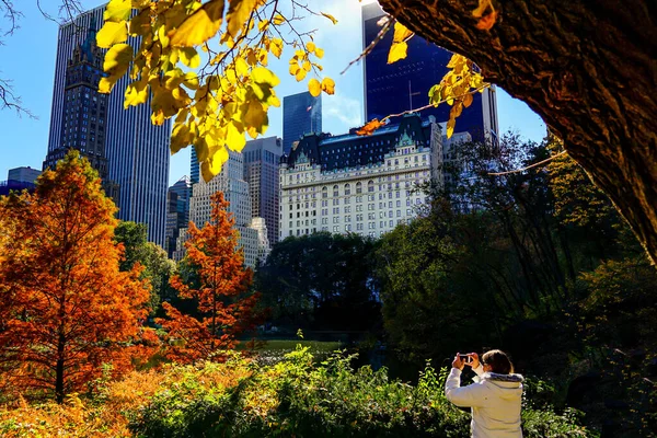 Central Park Pico Temporada Otoño Ciudad Nueva York Con Hojas —  Fotos de Stock