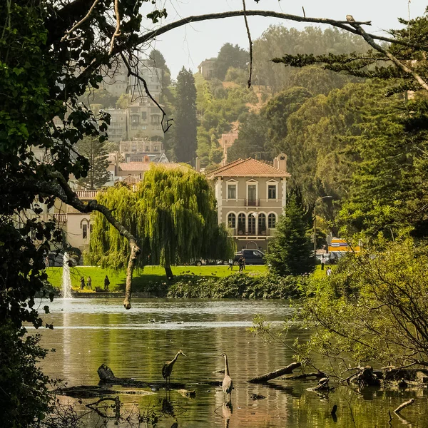 カリフォルニア州のサンフランシスコの景色とパノラマ カリフォルニア州サンフランシスコ — ストック写真