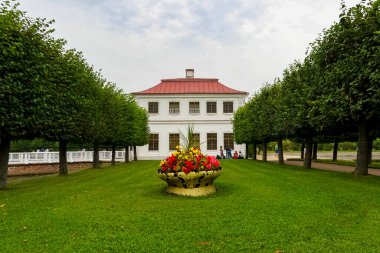 Peterhof (Petergof) Saint Petersburg, Rusya yakınlarındaki Büyük Peterhof Sarayı 'na ev sahipliği yapar..