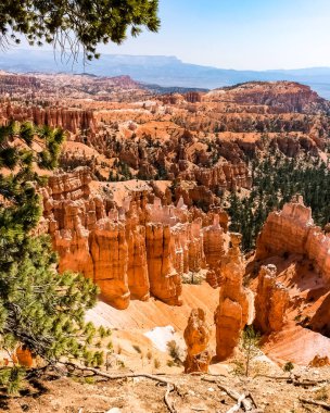 Bryce Canyon Ulusal Parkı Utah, ABD 'de güzel bir yaz gününde