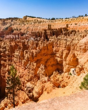Bryce Canyon Ulusal Parkı Utah, ABD 'de güzel bir yaz gününde