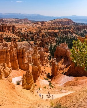 Bryce Canyon Ulusal Parkı Utah, ABD 'de güzel bir yaz gününde