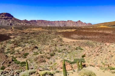 Teide Dağı volkan zirvesi Teide Ulusal Parkı, Tenerife, Kanarya Adaları, İspanya