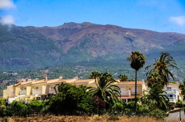 Puerto de la Cruz şehri Tenerife, Kanarya Adaları, İspanya.