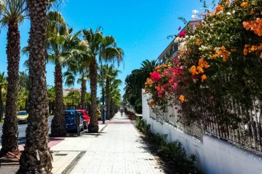 La Gomera ada manzarası, Spains Kanarya Adası 'nın en küçük ikinci adasıdır. La Gomera, İspanya.