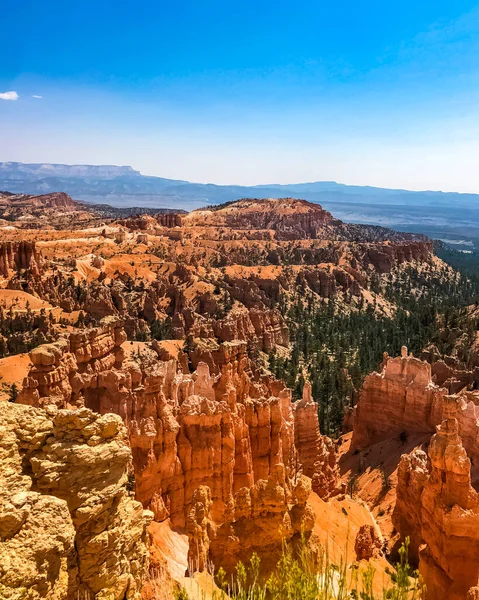 Parque Nacional Bryce Canyon Hermoso Día Verano Utah — Foto de Stock