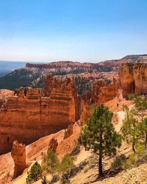 Bryce Canyon Nationalpark Einem Schönen Sommertag Utah Usa — Stockfoto