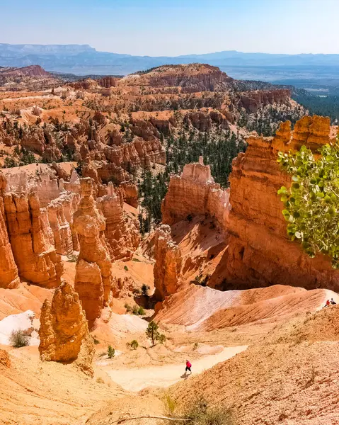 Parque Nacional Bryce Canyon Hermoso Día Verano Utah — Foto de Stock