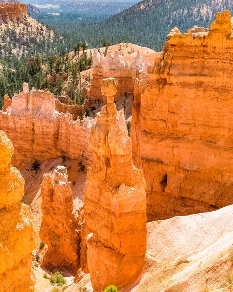 Parque Nacional Bryce Canyon Hermoso Día Verano Utah — Foto de Stock