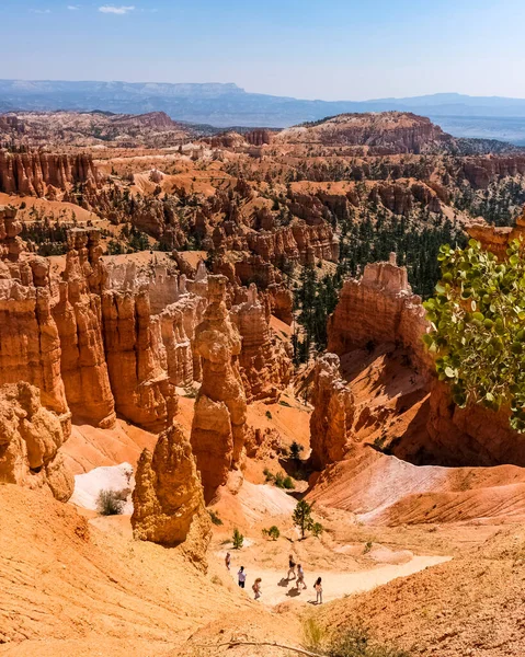 Bryce Canyon Nationalpark Einem Schönen Sommertag Utah Usa — Stockfoto