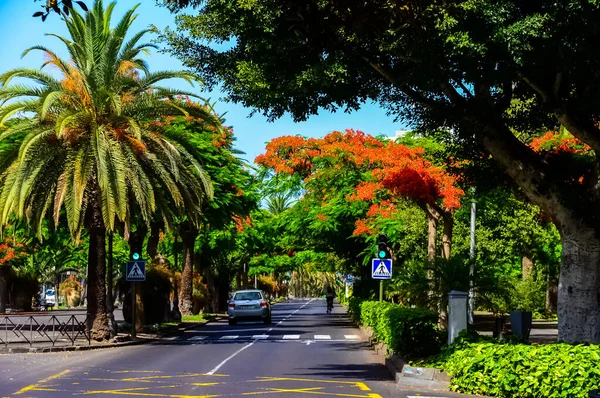 Santa Cruz Tenerife Santa Cruz Hamnstad Teneriffa Kanarieöarna Teneriffa Spanien — Stockfoto