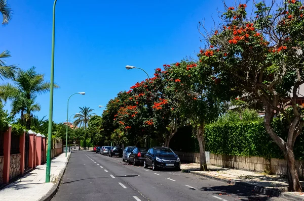 西班牙加那利群岛Tenerife的Puerto Cruz市 — 图库照片