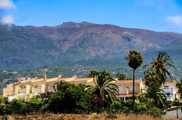 Puerto de la Cruz şehri Tenerife, Kanarya Adaları, İspanya.