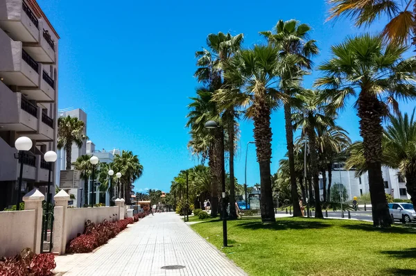 Tenerife Los Cristianos Een Stad Aan Zuidwestkust Van Tenerife Grootste — Stockfoto