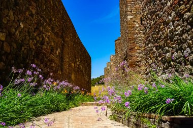 Güneşli bir yaz gününde Malaga 'daki Castillo de Gibralfaro' dan görüntü. Malaga, İspanya.