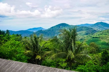 Phuket, Tayland ada manzarası. Phuket, Tayland 'ın güneyindeki bir ildir. Ülkenin en büyük adası olan Phuket adasından oluşur..