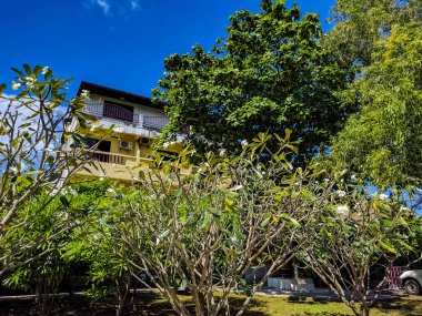 Phuket, Tayland manzarası. Phuket, Tayland 'ın güneyindeki bir ildir. Ülkenin en büyük adası olan Phuket adasından oluşur..