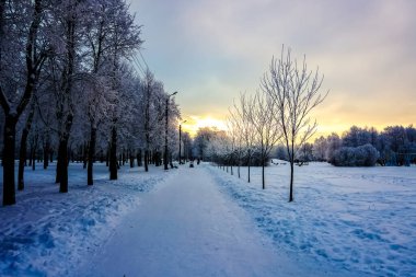 Saint Petersburg 'da kışın tarihi binalar, mimari, sokaklar ve kanallarla birlikte Saint Petersburg, Rusya.