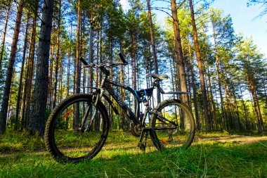 Saint Petersburg, Rusya 'daki ormanda dağ bisikleti.