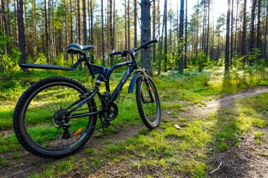 Saint Petersburg, Rusya 'daki ormanda dağ bisikleti.