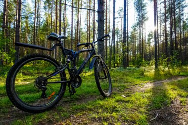 Saint Petersburg, Rusya 'daki ormanda dağ bisikleti.