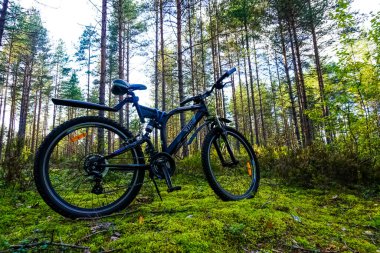 Saint Petersburg, Rusya 'daki ormanda dağ bisikleti.