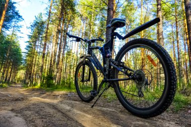 Saint Petersburg, Rusya 'daki ormanda dağ bisikleti.