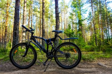 Saint Petersburg, Rusya 'daki ormanda dağ bisikleti.