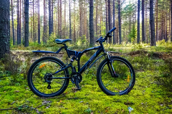Ποδήλατο Βουνού Στο Δάσος Της Αγίας Πετρούπολης Ρωσία — Φωτογραφία Αρχείου
