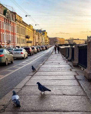 Aziz Petersburg Panoraması 'nda tarihi binalar mimari sokaklar ve kanallar Saint Petersburg, Rusya.