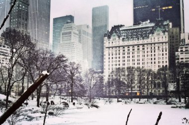 Central Park 'ta kar fırtınası sırasında Manhattan, New York' a kar yağdı.
