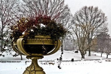 Central Park 'ta kar fırtınası sırasında Manhattan, New York' a kar yağdı.