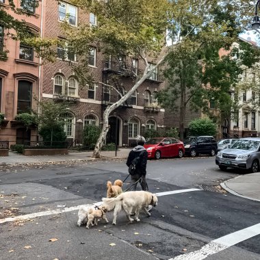 Brooklyn, New York 'ta Brooklyn Heights Mahallesi.