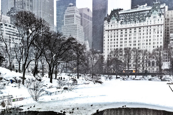 Central Park during the winter blizzard snow fall in Manhattan, New York City.