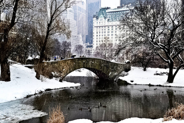 Central Park during the winter blizzard snow fall in Manhattan, New York City.