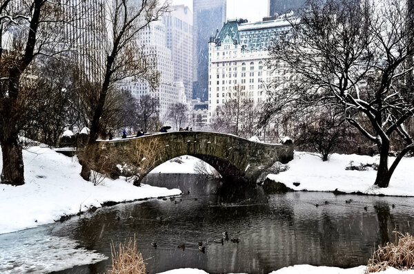 Central Park during the winter blizzard snow fall in Manhattan, New York City.