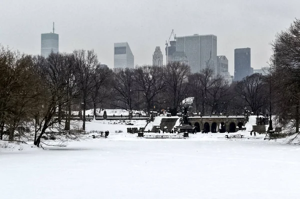 Central Park Winter Blizzard Snow Fall Manhattan New York City — Stock Photo, Image