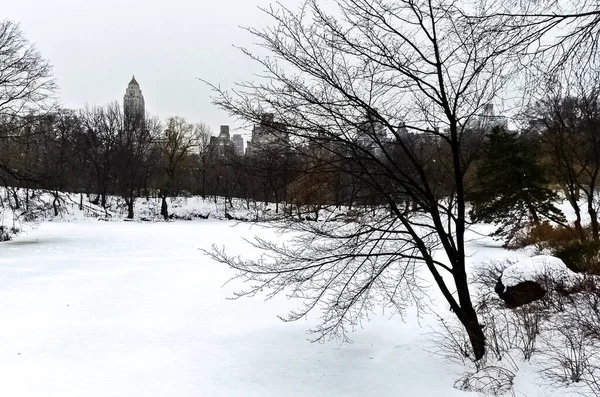 Der Central Park Winterlichen Schneesturm Manhattan New York City — Stockfoto