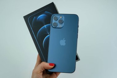 iPhone 12 Pro Max in Pacific Blue.