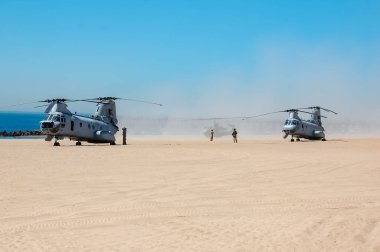 New York Donanma Haftası boyunca Brooklyn, New York 'ta Boeing Vertol CH-46 Deniz Şövalyesi (ABD Deniz Kuvvetleri). 