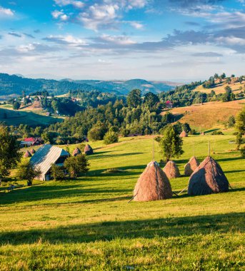 Cluj County, Romanya, Avrupa 'nın inanılmaz yaz manzarası. Rogojel köyünün güneşli sabah manzarası. Kırsal konseptin güzelliği.