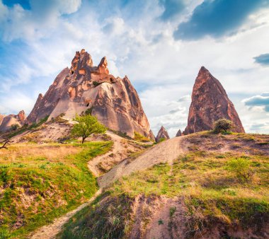 Kapadokya 'nın şaşaalı bahar sahnesi. Nisan ayındaki Kırmızı Gül Vadisi manzarası. Nevsehir ilçesinin bulunduğu Cavusin köyü, Türkiye, Asya. Seyahat konsepti arka planı.