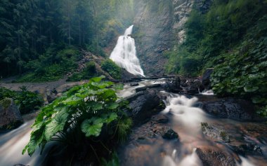 Gelinin Peçesi / Valul Miresei Şelalesi 'nin muhteşem sabah manzarası. Apuseni Doğal Parkı, Cluj County, Romanya, Avrupa 'nın puslu yaz ayları. Doğa konseptinin güzelliği