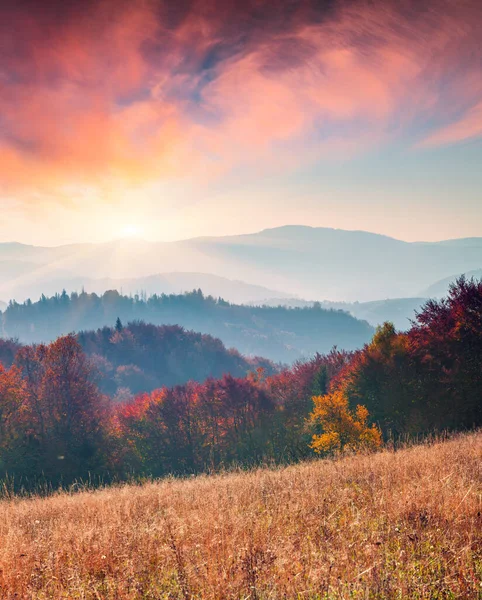 Atemberaubender Herbstsonnenaufgang Den Karpaten Bunte Morgenszene Gebirgstal Künstlerischer Stil Nachbearbeitetes — Stockfoto
