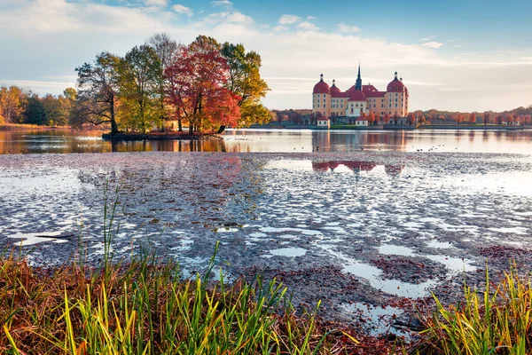 Яркий Утренний Вид Морицбургский Барочный Дворец Окруженный Озером Осенняя Сцена — стоковое фото