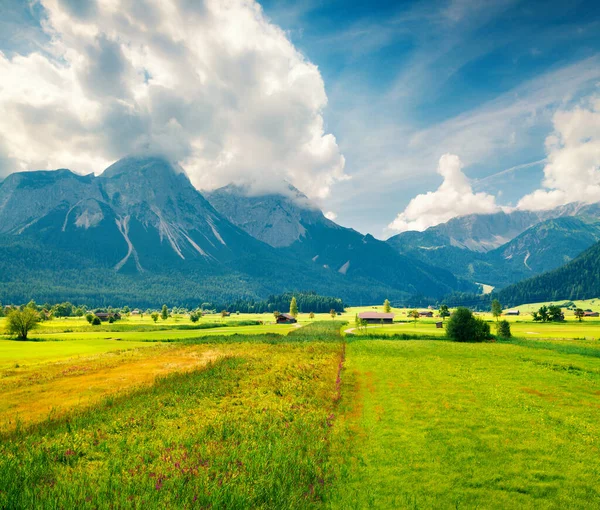 Zelená Louka Golfovém Klubu Zugspitze Uzamykání Vesnice Lermoos Barevné Letní — Stock fotografie