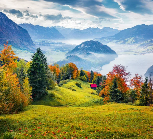 Vista Brumosa Mañana Las Afueras Stansstad Suiza Europa Cautivante Escena —  Fotos de Stock