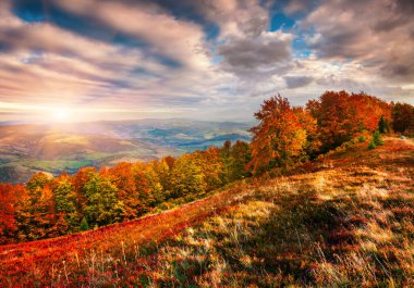 Dağlarda renkli sonbahar gündoğumu. Karpatlar 'da muhteşem bir sabah manzarası var. İşlenmiş fotoğraf sonrası sanatsal stil.