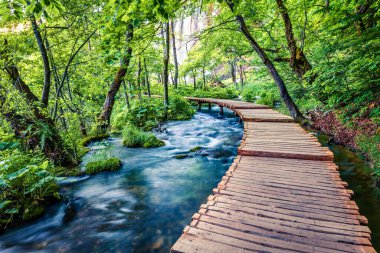 Plitvice Ulusal Parkı 'nın güzel sabah manzarası. Saf su gölü olan yeşil ormanın güneşli bahar manzarası. Hırvatistan ve Avrupa 'nın muhteşem kırsal manzarası. Seyahat konsepti arka planı.